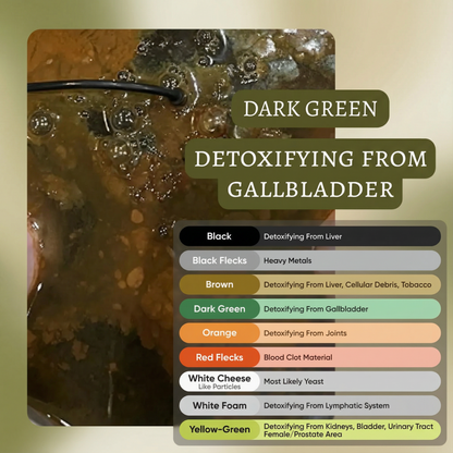 MoonLab R® Ionic Foot Spa | Remove Toxins and Heavy Metals for a Healthier Life